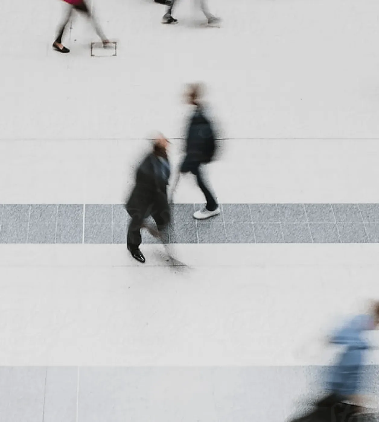 Treville B.V. team - business professionals in action